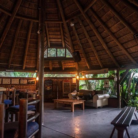 Fairy Knowe Backpackers Lodge Wildernis Kültér fotó
