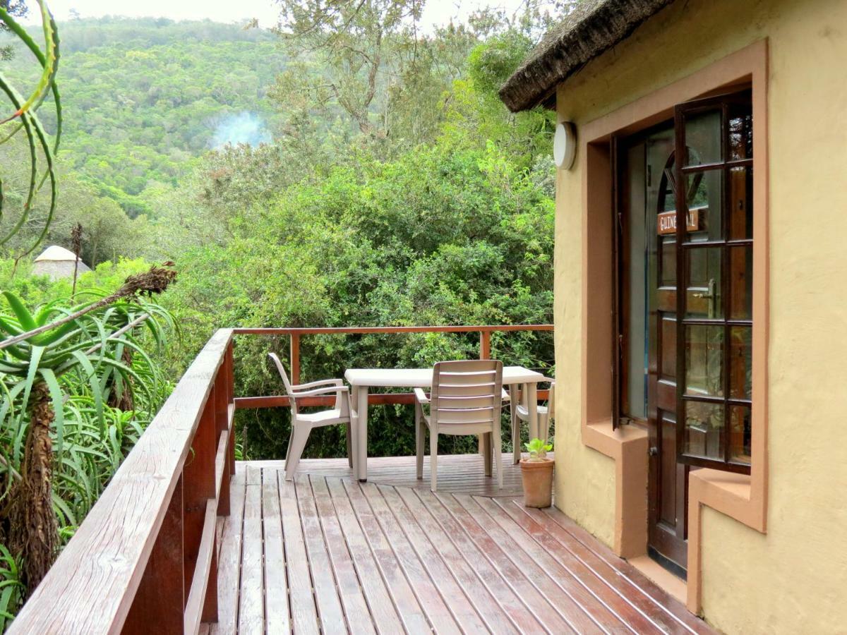 Fairy Knowe Backpackers Lodge Wildernis Kültér fotó